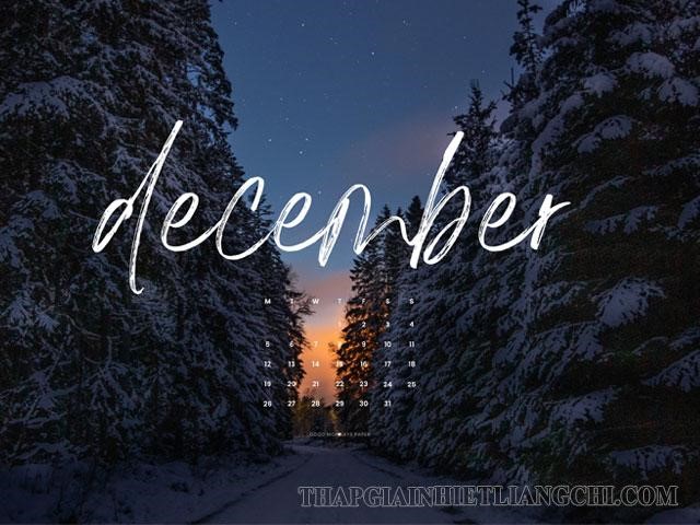 Dec là từ để chỉ tháng 12 trong năm 