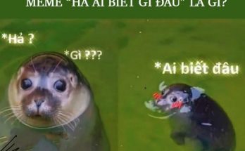 Tìm hiểu về meme “hả gì ai biết đâu”