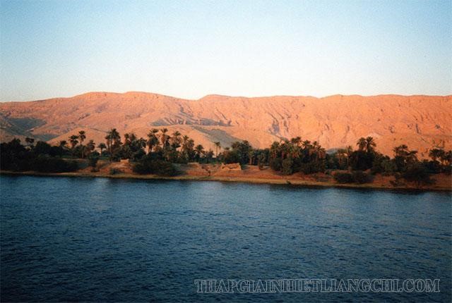 Sông Nile mang đến sự sống cho các loài sinh vật nơi chúng chảy qua