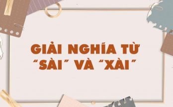 Xài là phương ngữ nam bộ nhằm để chỉ việc tiêu hay dùng gì đấy