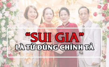 Sui gia là từ được viết đúng chính tả