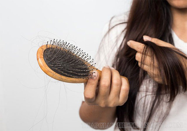 Conditioner giúp giảm thiểu tình trạng tóc bị gãy rụng
