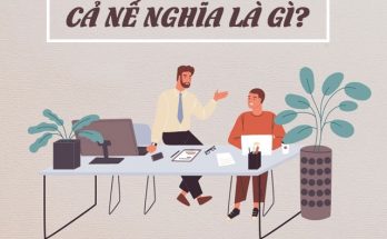 Cả nể là kiểu người luôn chấp nhận những việc mà người khác yêu cầu