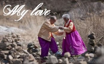 My love trong tiếng anh là tình yêu của tôi