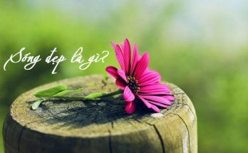 Sống đẹp là sống đúng đạo lý và tuân thủ pháp luật