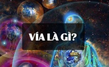 Vía là yếu tố vô hình ở bên trong thể xác mà ta không thấy được