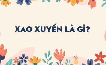Xao xuyến là cảm xúc rung động trước ai đó hay điều gì đó
