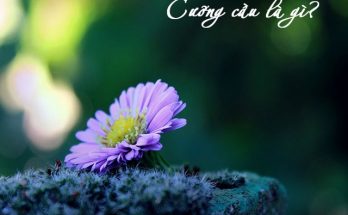 Cưỡng cầu là ép buộc, đòi hỏi điều gì đó từ người khác