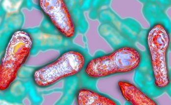 Giới thiệu về vi khuẩn Botulinum
