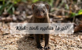 Khắc tinh nhằm để chỉ các đối tượng mang đến bất lợi hay tiêu diệt đối phương