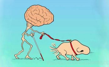 Những người bị dắt mũi thường có đầu óc đơn giản