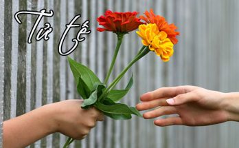 Tử tế là phẩm chất tốt đẹp đối với con người