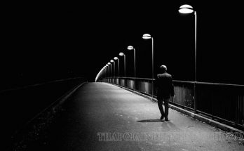 Giải thích ý nghĩa câu thành ngữ Tứ cố vô thân