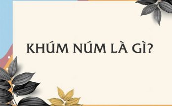 Định nghĩa về khúm núm